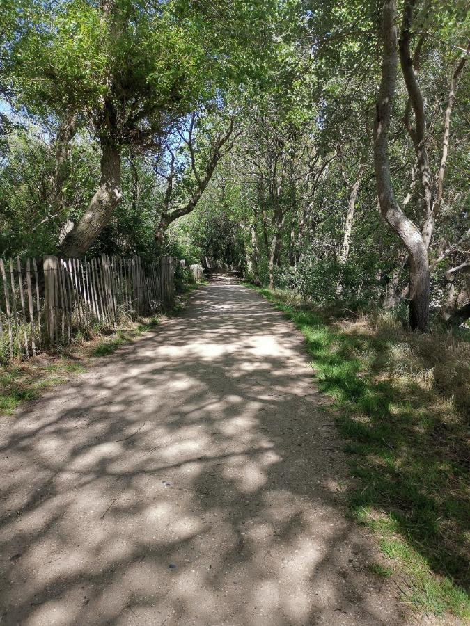 Griad In De Duinen De Haan Exteriér fotografie